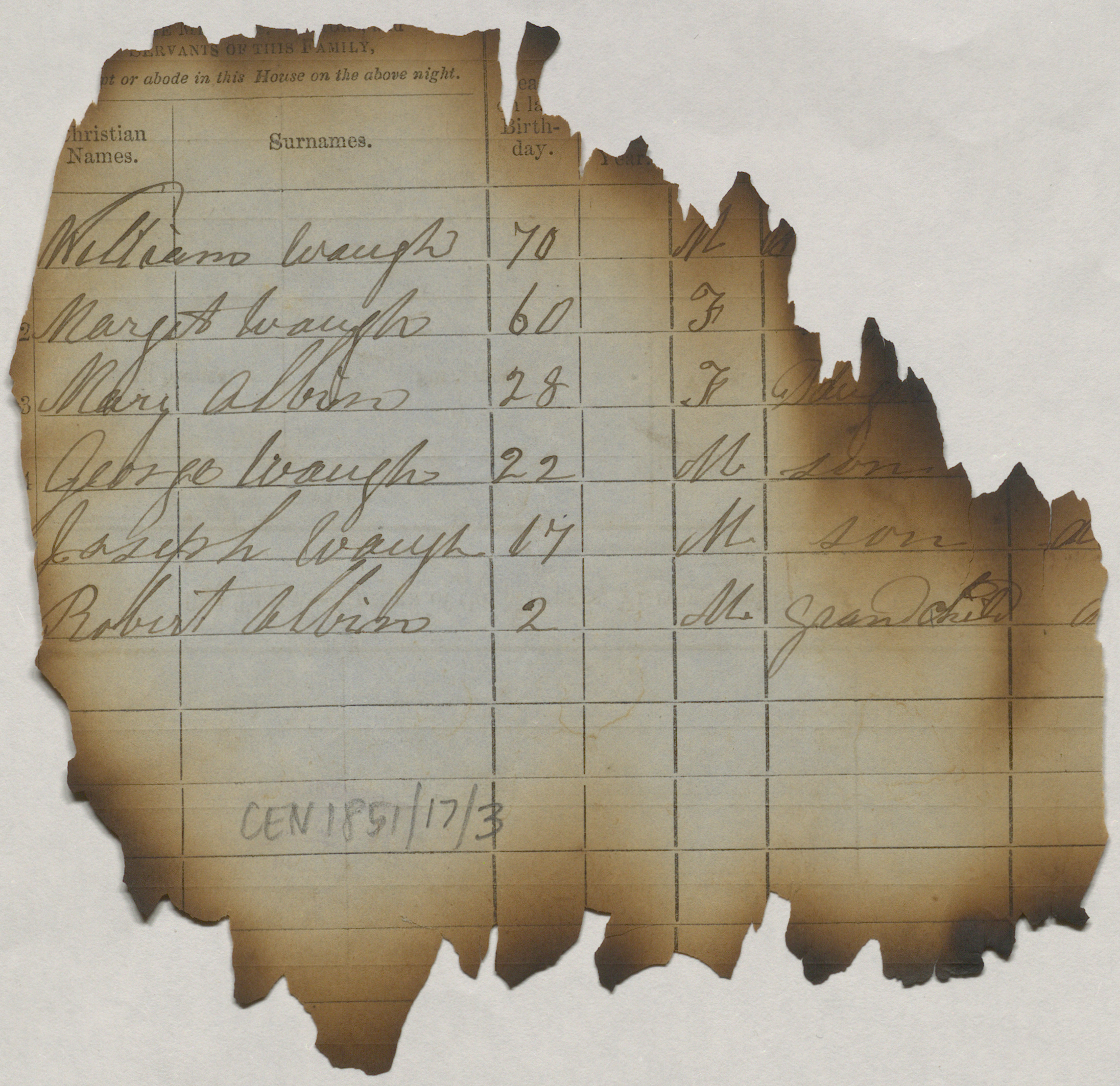 Collection Thumbnail